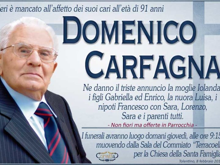 Carfagna Domenico