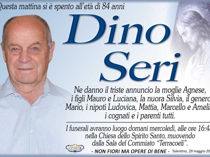 Seri Dino