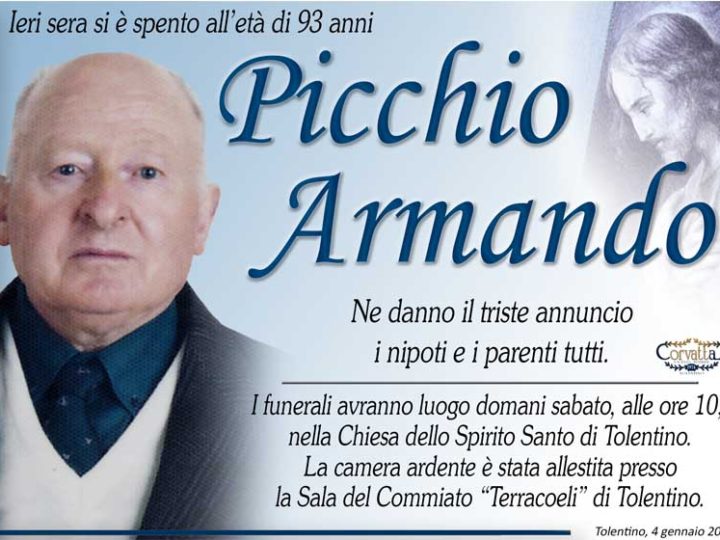 Picchio Armando