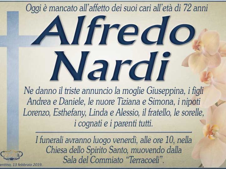 Nardi Alfredo