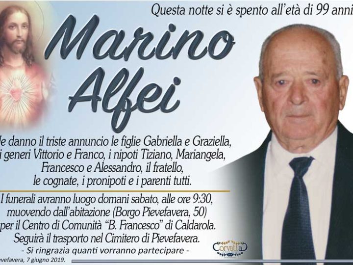 Alfei Marino