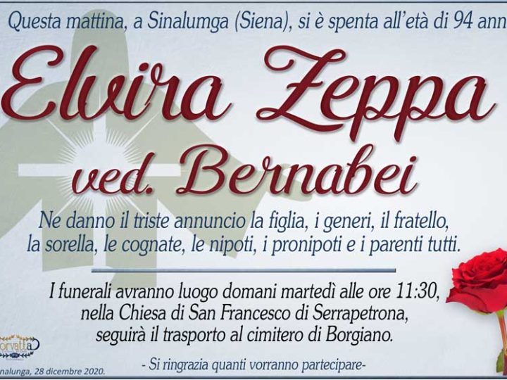 Zeppa Elvira Bernabei