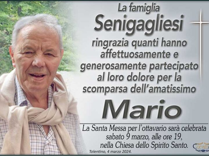 Ringraziamento: Mario Senigagliesi